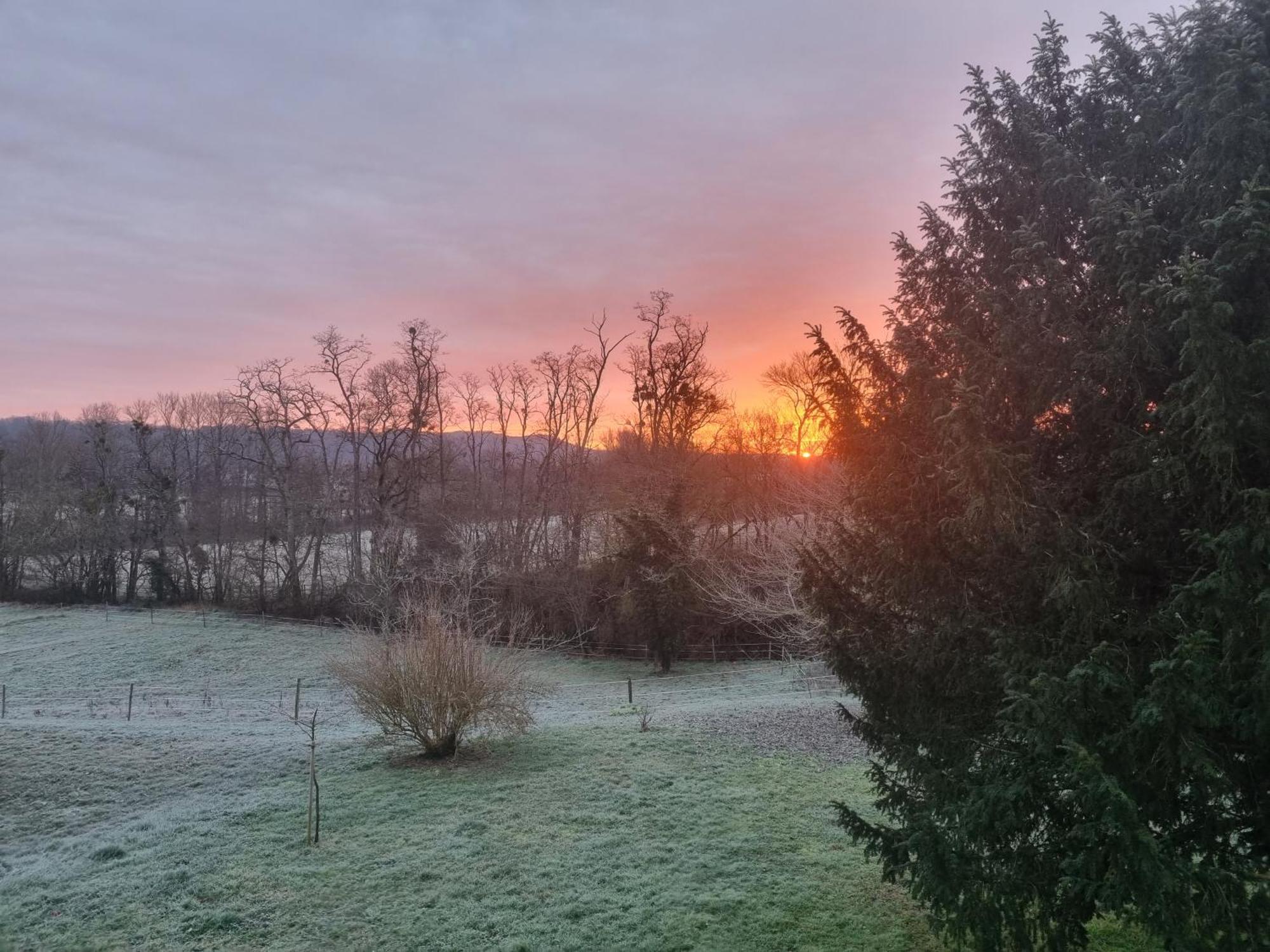 Domaine De Belcayre Bed & Breakfast Montauban Luaran gambar