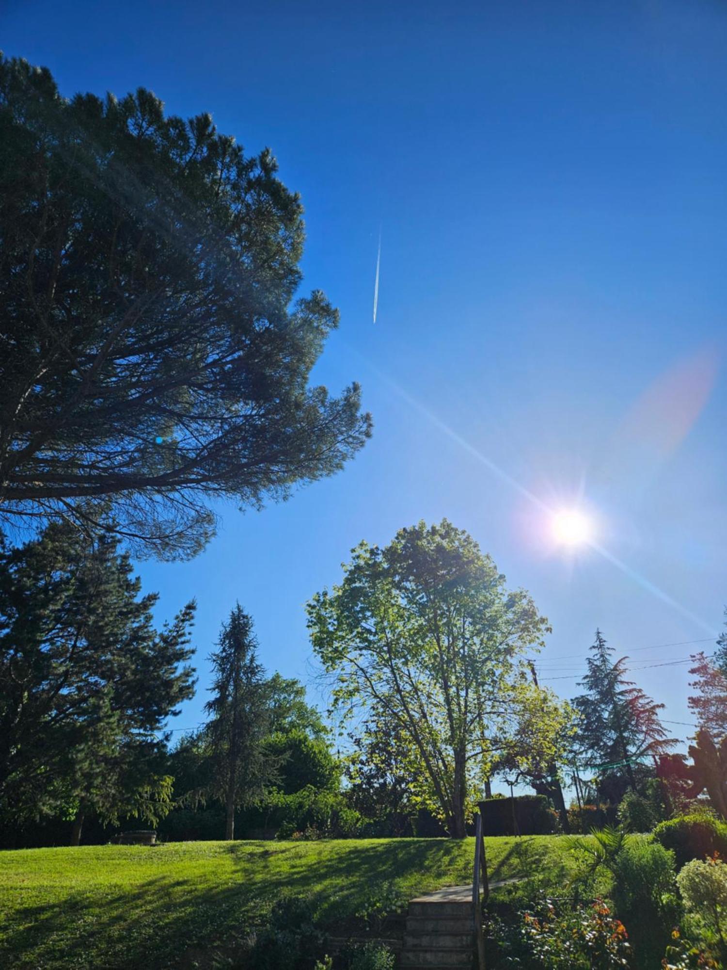 Domaine De Belcayre Bed & Breakfast Montauban Luaran gambar