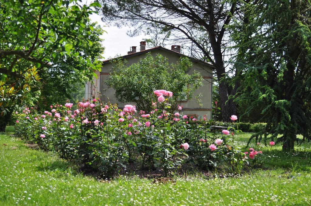 Domaine De Belcayre Bed & Breakfast Montauban Luaran gambar